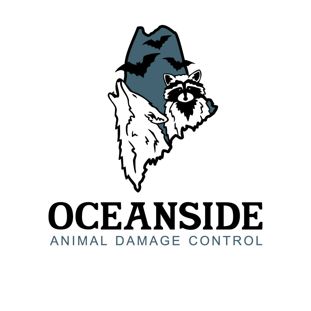 Oceanside ODC Logo