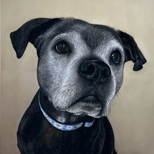 Dog Portrait - 8x8"