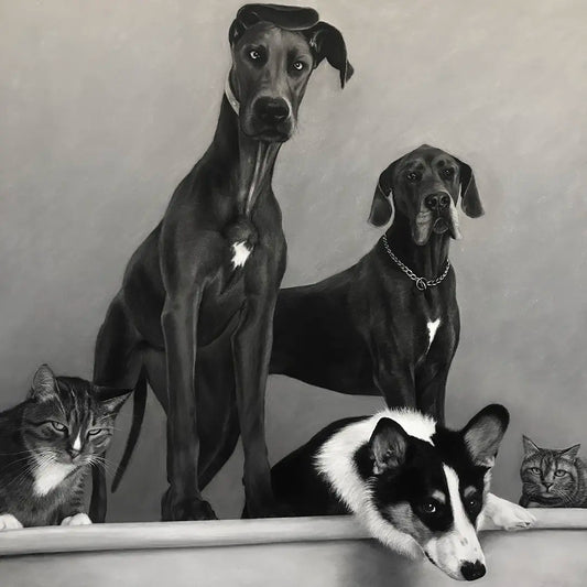 Dog & Cat Group Portrait - 20x20"