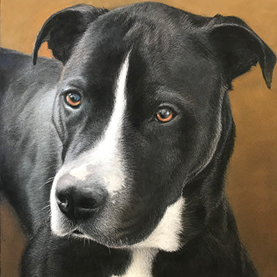 Dog Portrait - 8x8"