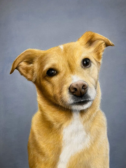 Dog Portrait - 9x12"