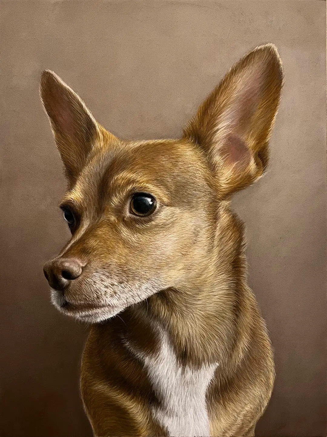 Dog Portrait - 9x12"