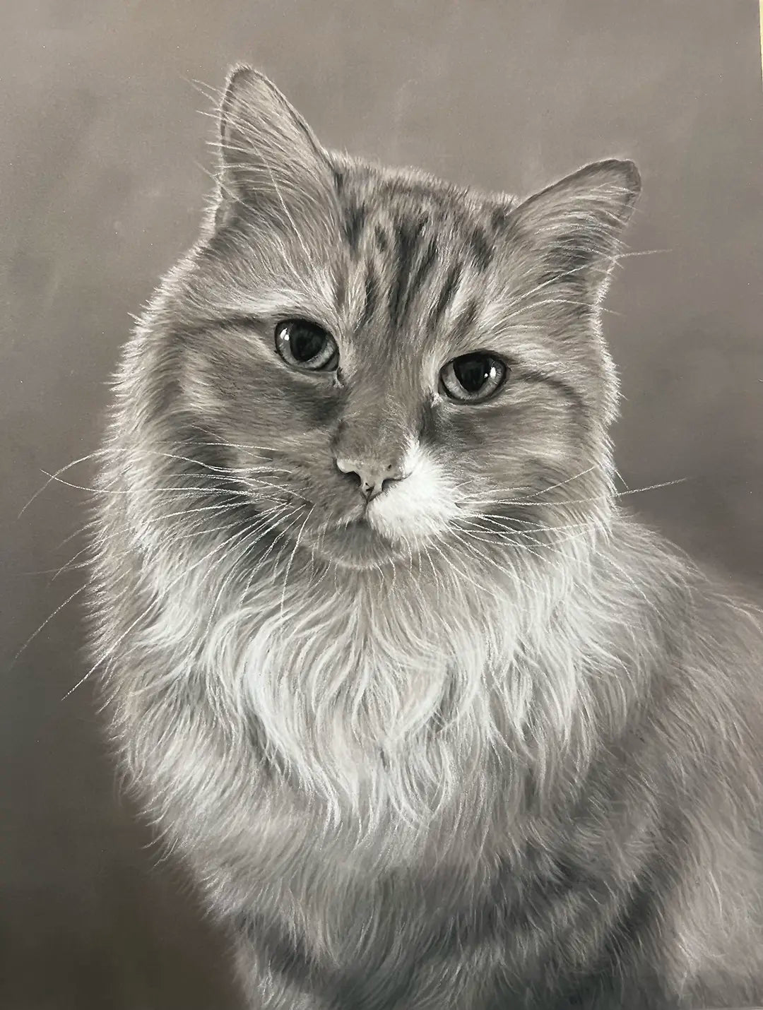 Cat Portrait - 9x12"