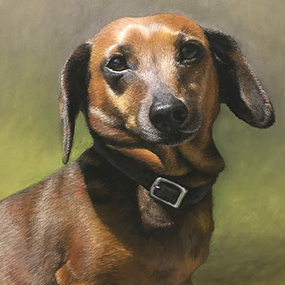 Dog Portrait - 8x8"