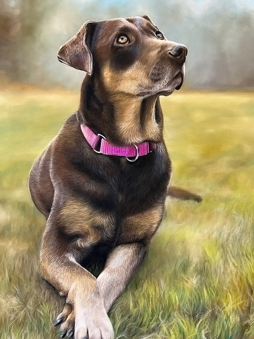 Dog Portrait - 11x14"