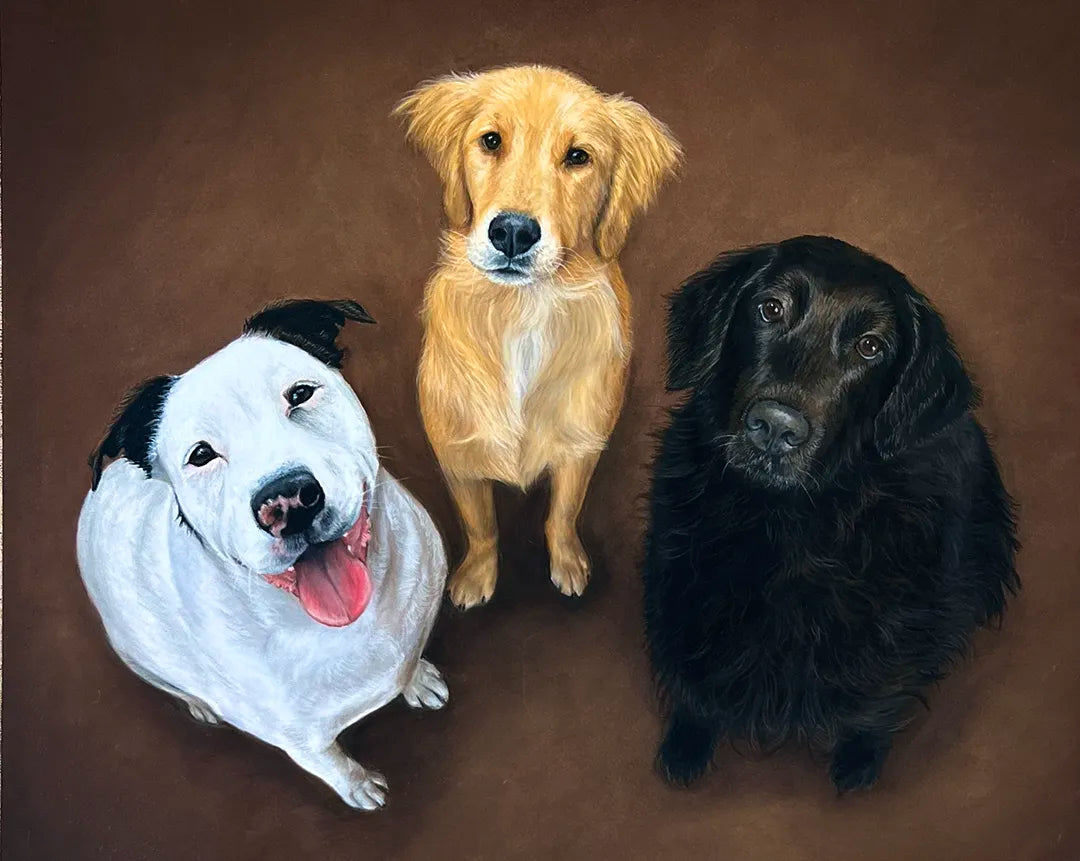 Dog Portrait Trio - 16x13"