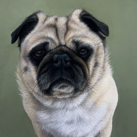 Dog Portrait - 8x8"