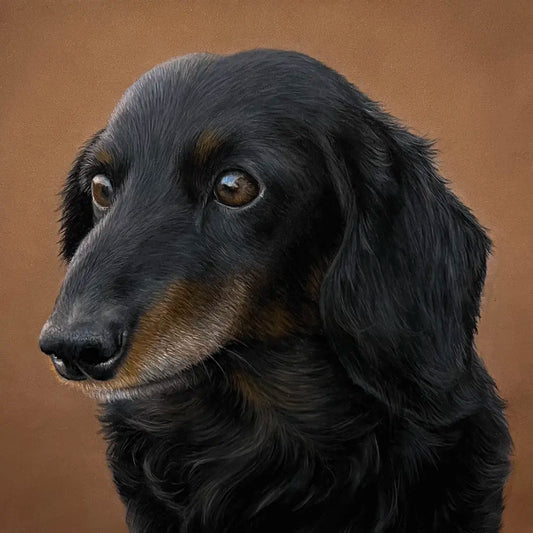 Dog Portrait - 8x8"