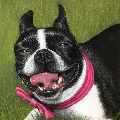 Dog Portrait - 8x8"